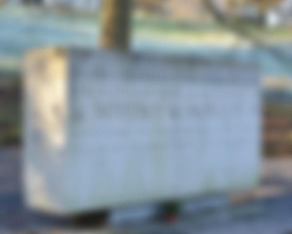 Runnymede Area University Of The Third Age | Charici