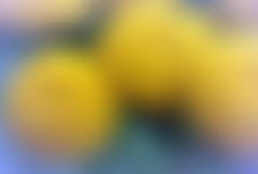 South Hylton Community Project | Charici