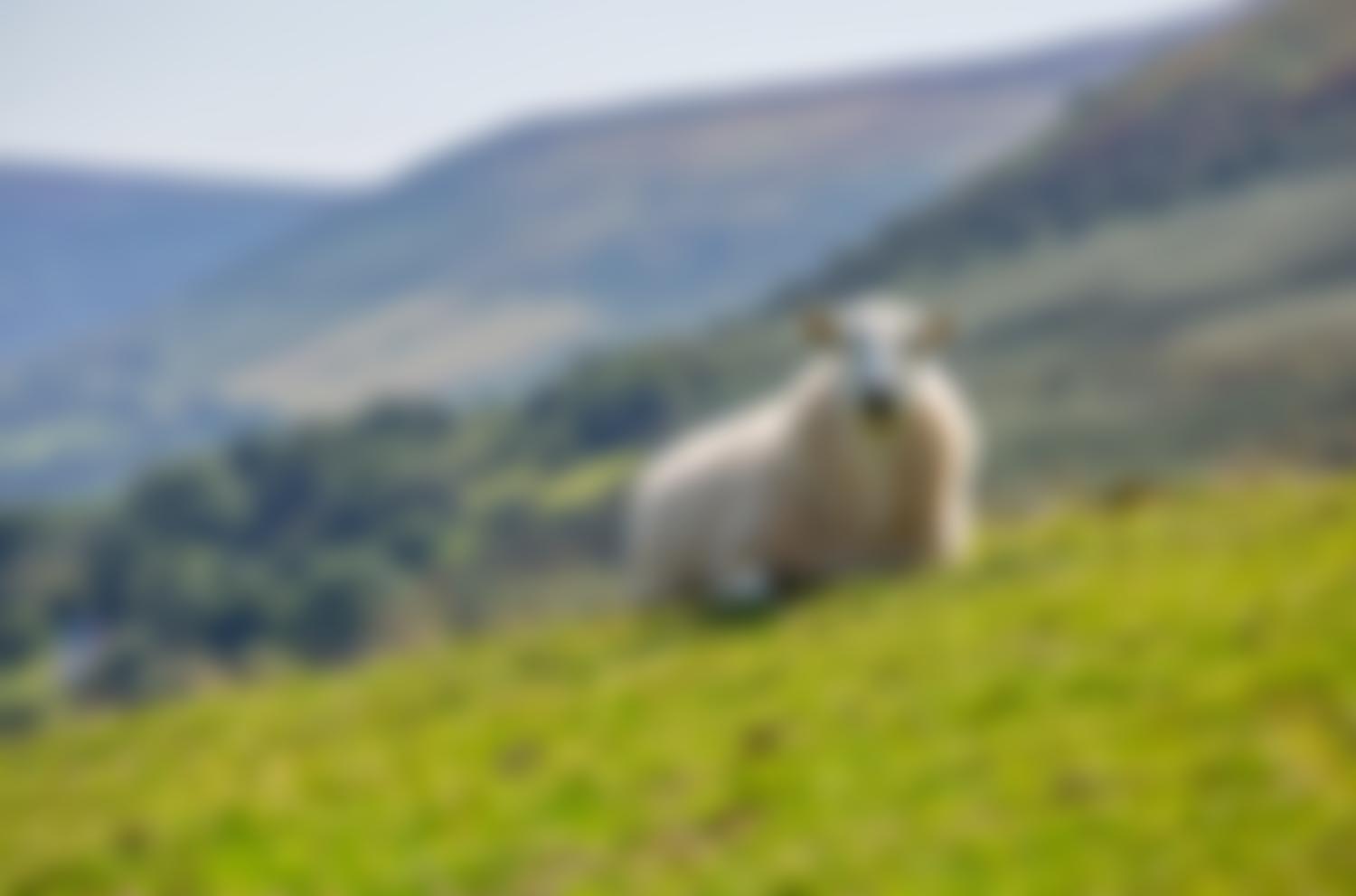 Addington Fund | Charici