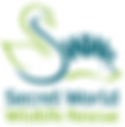 Secret World Wildlife Rescue | Charici