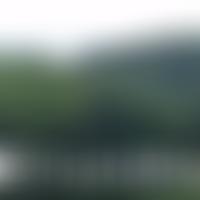 The Friends Of Byumba Trust | Charici