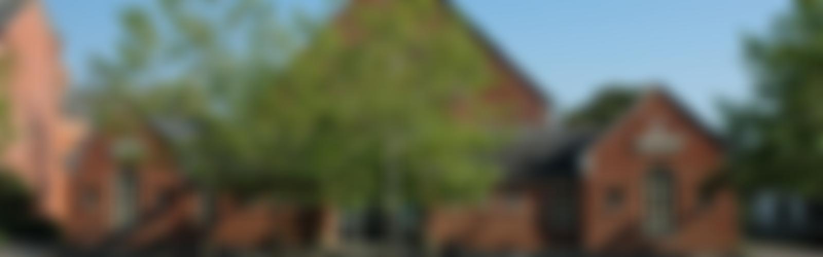 Charlton Down Village Hall | Charici