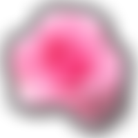 Susan Day Residential Home | Charici