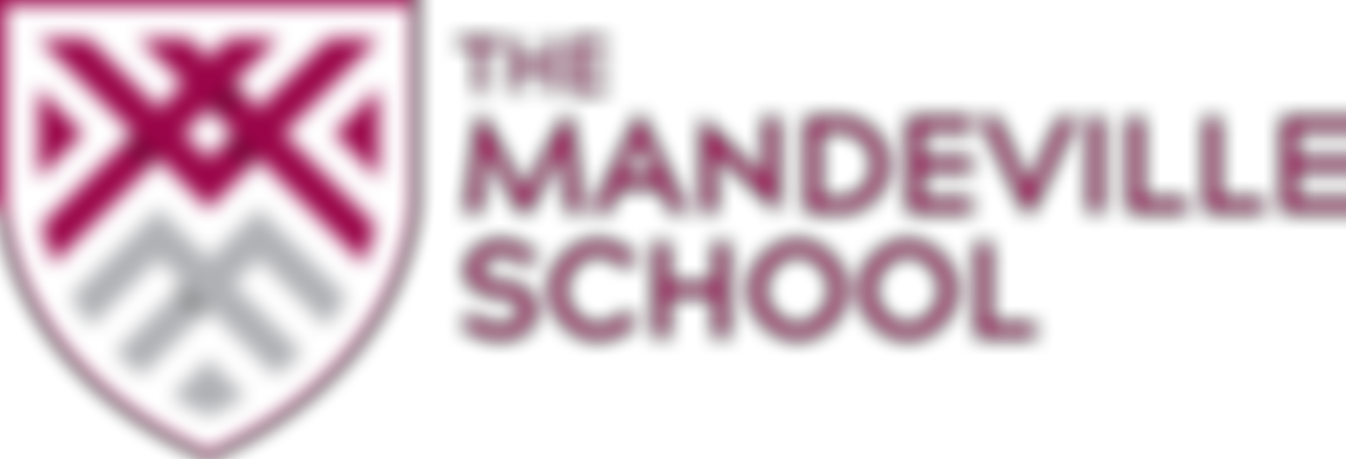 The Mandeville School Trust | Charici