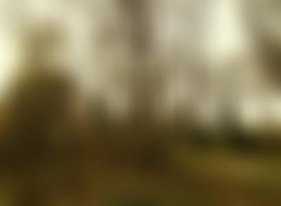 The Spinney Doorstep Green | Charici