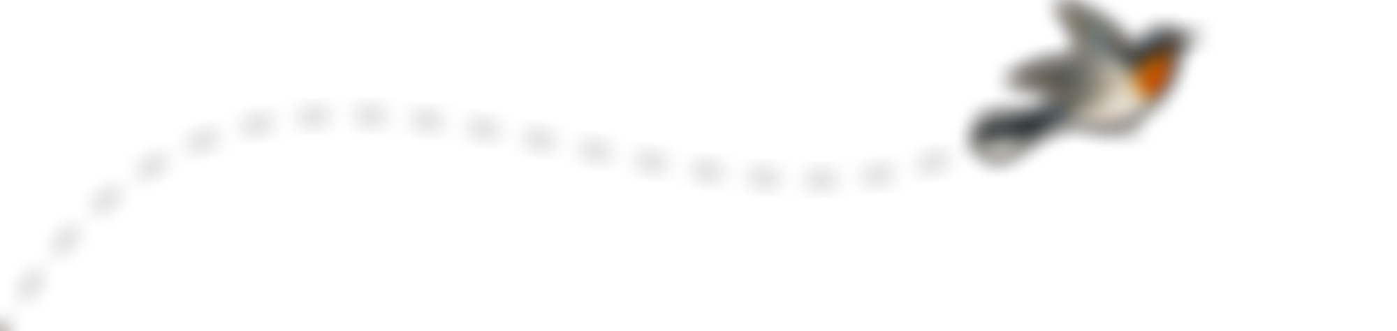 Bishop Auckland Community Partnership | Charici