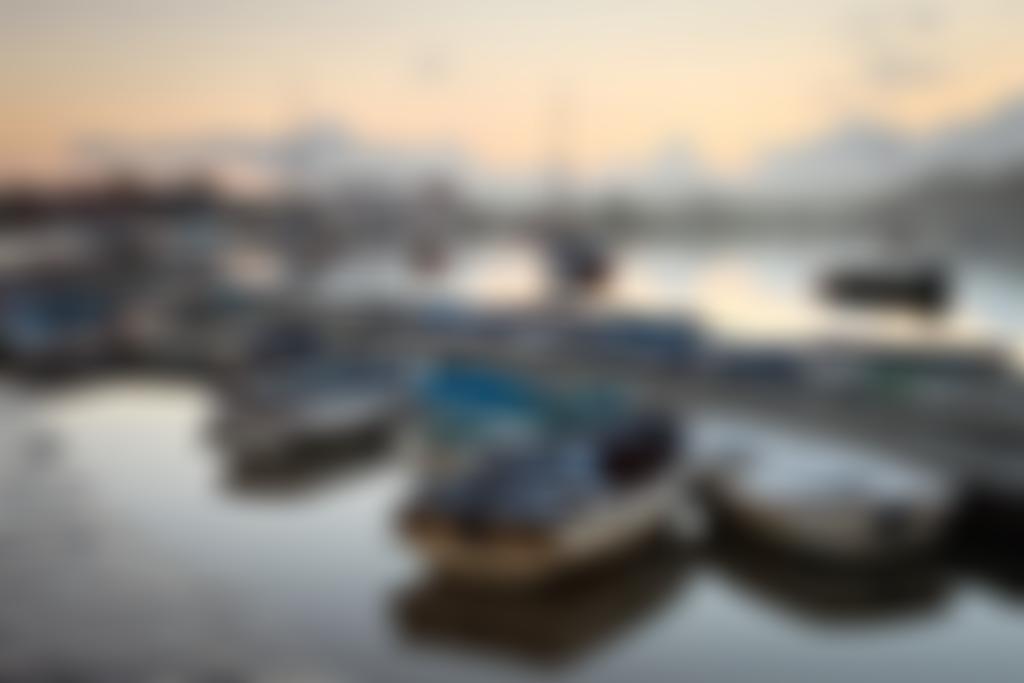 The Arts Society Woodbridge | Charici