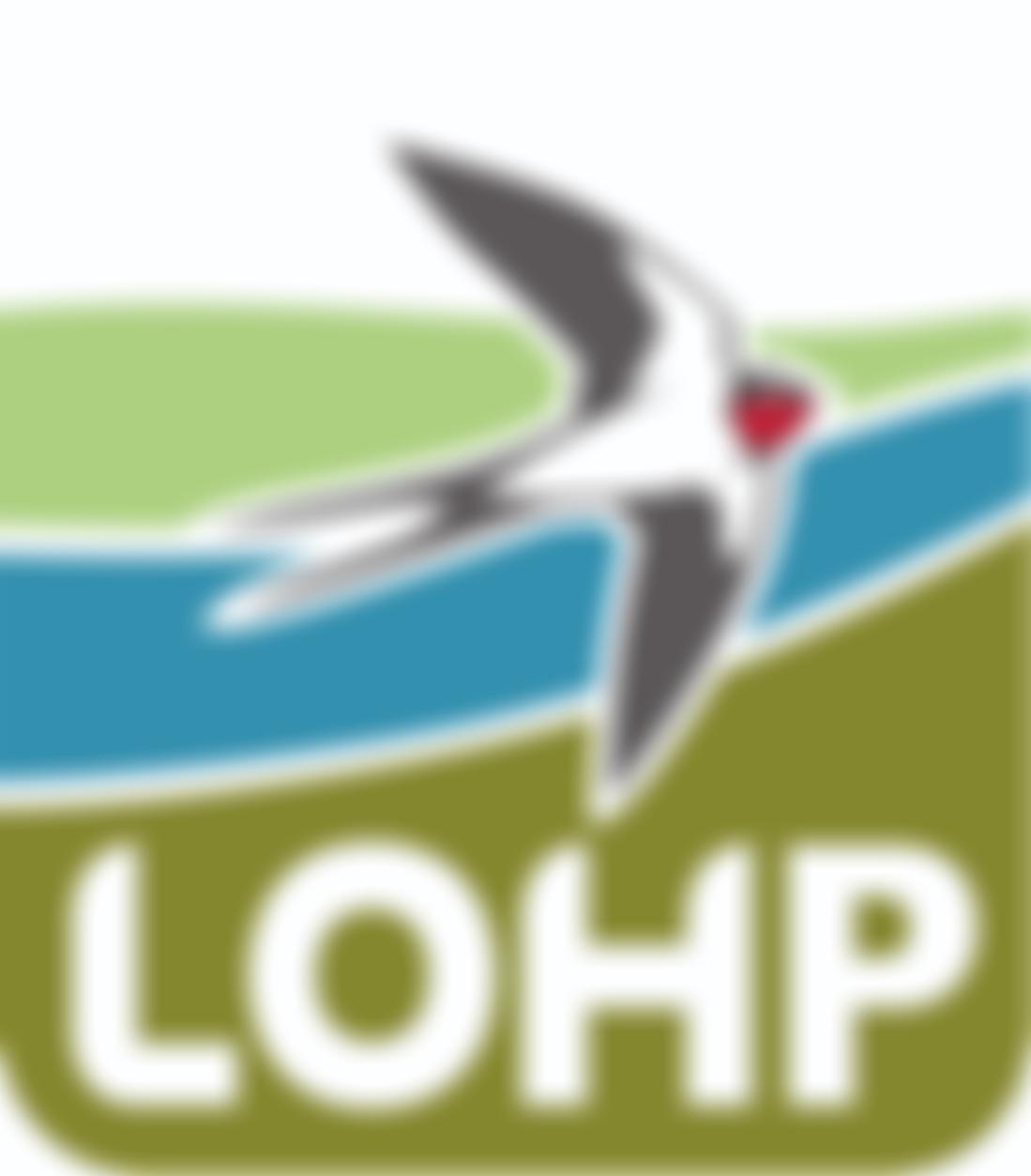 Little Ouse Headwaters Project | Charici