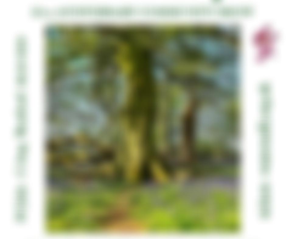 Boxford Masques | Charici