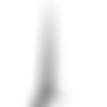 The Tetbury Music Festival | Charici