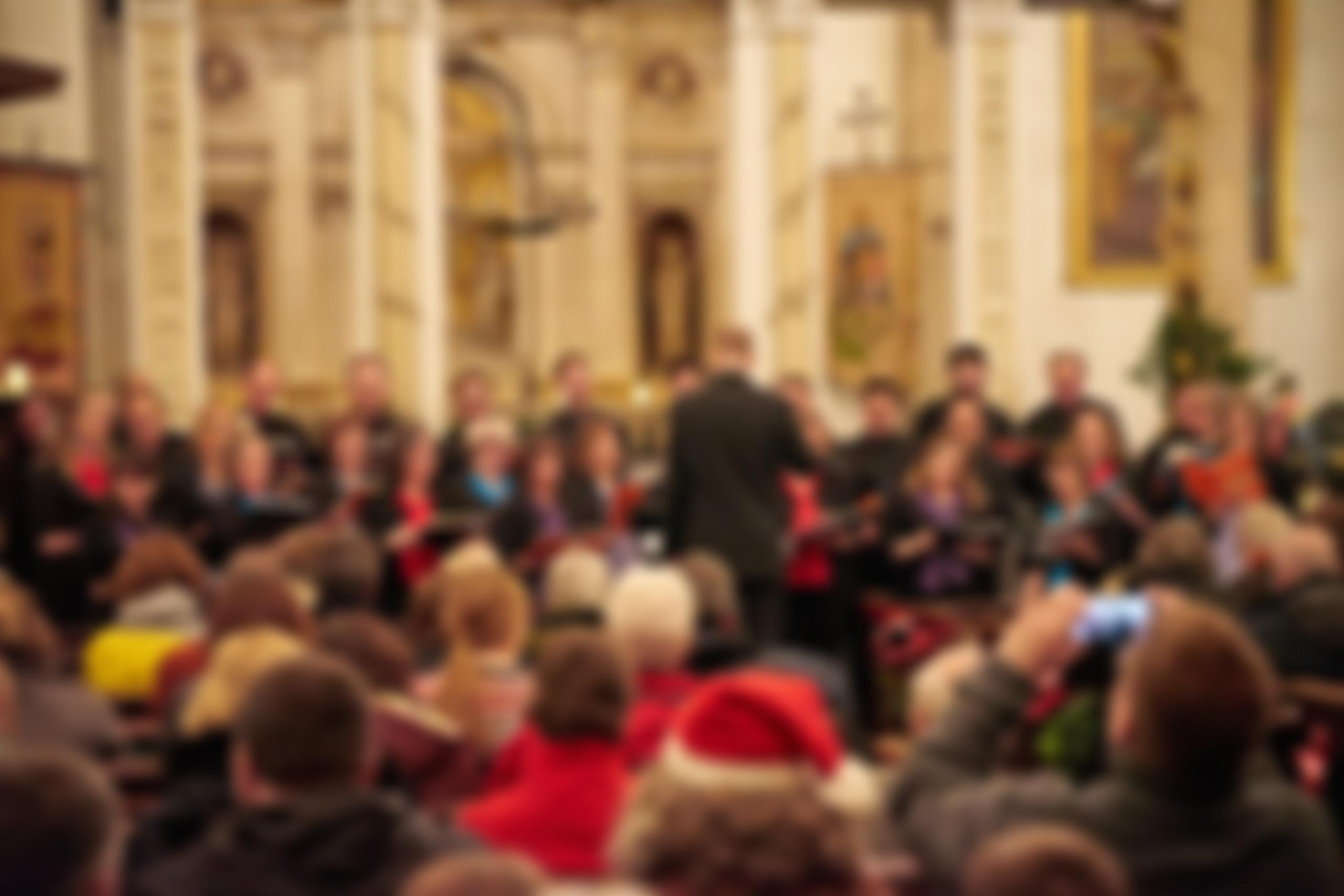 The Harlequin Singers | Charici