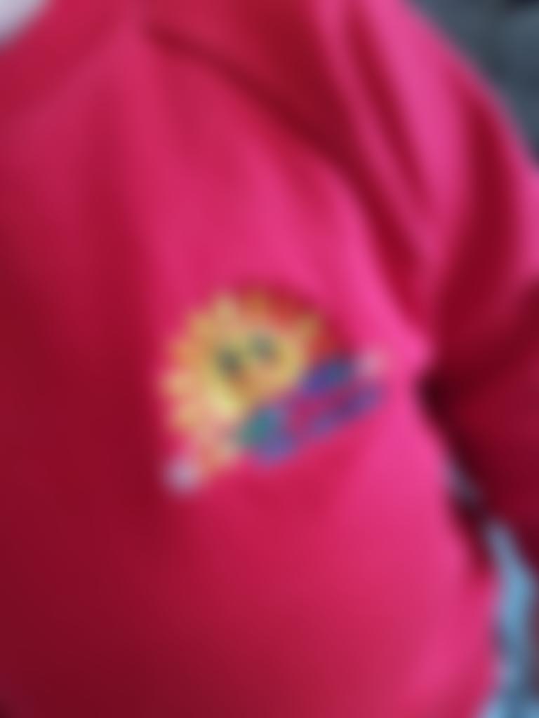 Hextable Village Pre-School | Charici