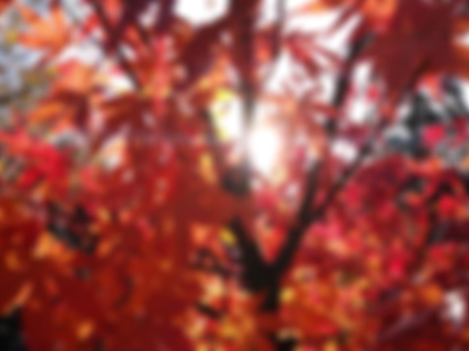 East Reading Horticultural Therapy And Community Based Training Limited | Charici