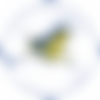 Leighton Buzzard Canoe Club | Charici