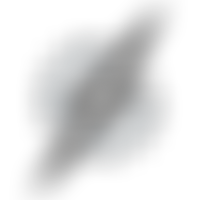 Exeter Storm Roller Hockey Club | Charici