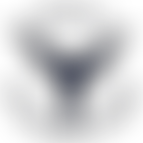 Friends Of St. Nicholas Chapel, King's Lynn | Charici