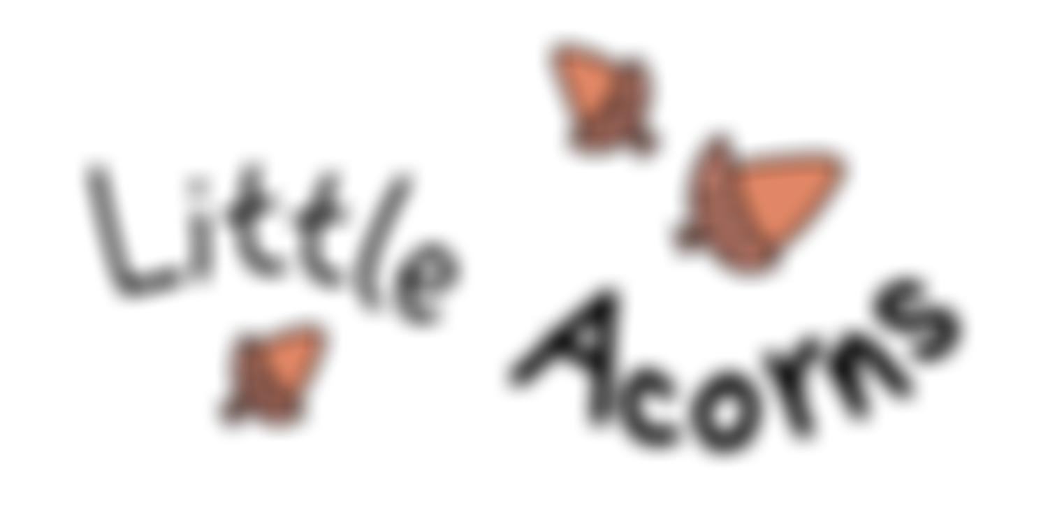 Little Acorns Playgroup (Evershot) | Charici