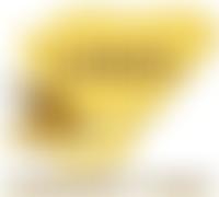 Lango Community Trust | Charici