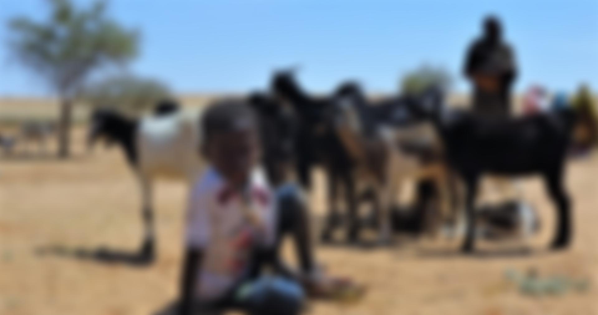 Kids For Kids | Charici