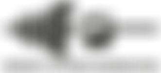 The Weight Lifting Foundation | Charici