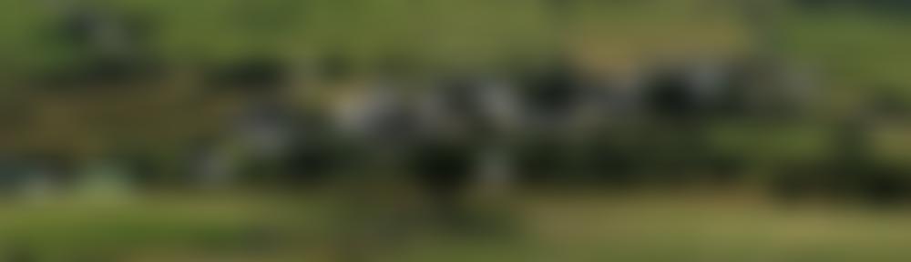 Pwyllgor Llywio Llanaelhaearn | Charici