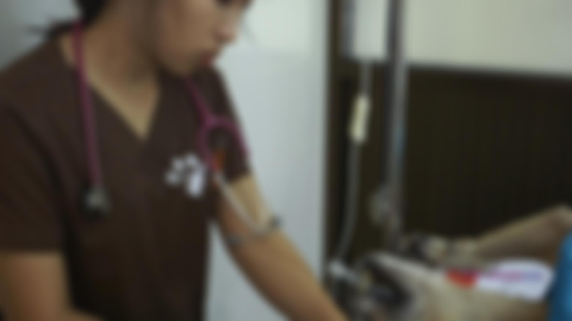 Worldwide Veterinary Service | Charici