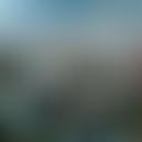 The Notting Hill Carnival Roadshow Company Limited | Charici