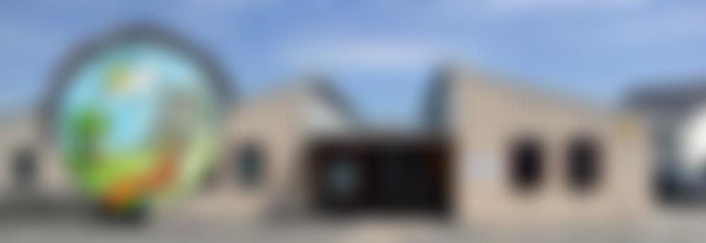 Roche Learning Village Partnership | Charici