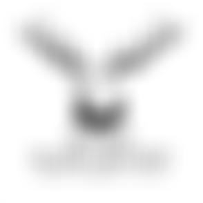 Galphay Village Institute | Charici