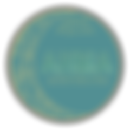 Altrincham And Hale Muslim Association | Charici