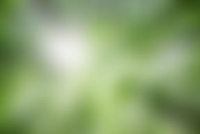 Netherfield Pre-School | Charici