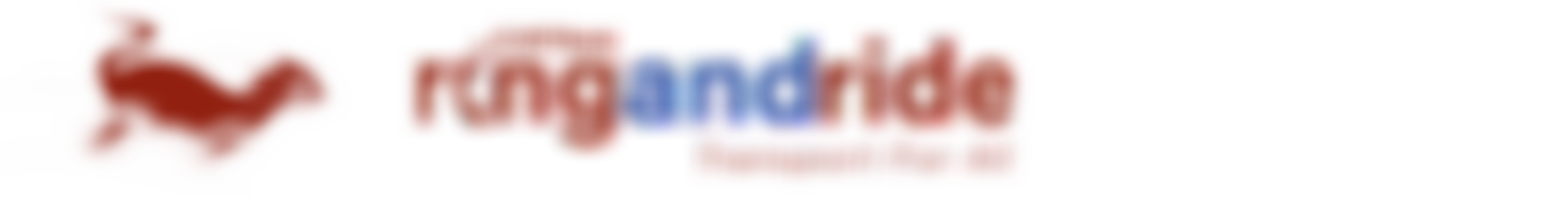 South Somerset Community Accessible Transport | Charici