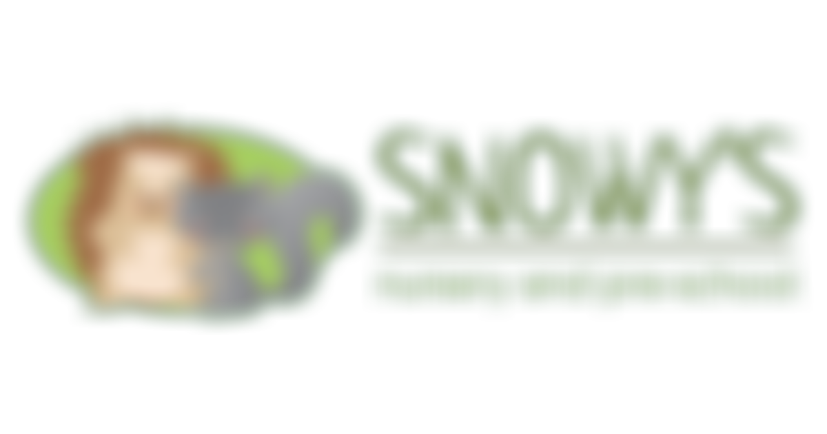 Snowy's Nursery And Pre-School | Charici