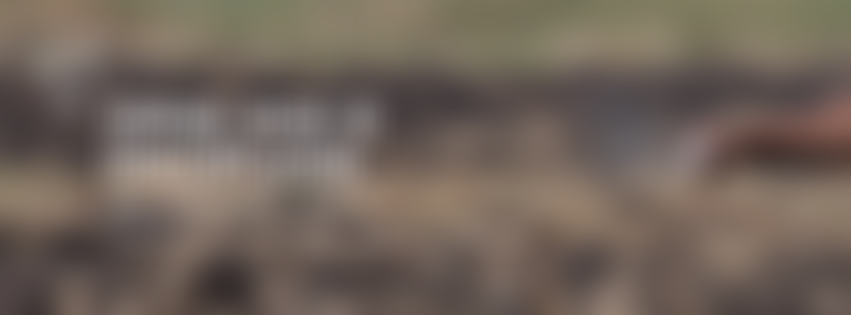 The Christian Meditation Trust (UK) | Charici