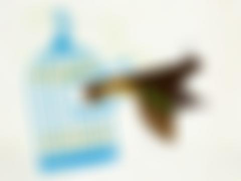 Canon Collins Trust | Charici