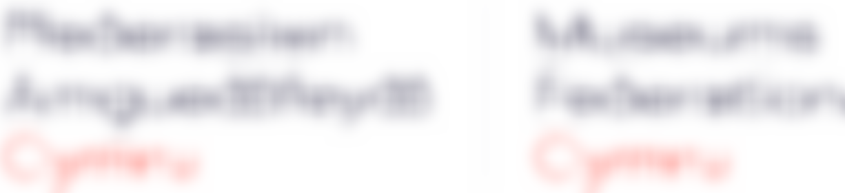 The Federation Of Museums And Art Galleries Of Wales | Charici