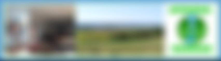 Springs Church (Lincolnshire) | Charici