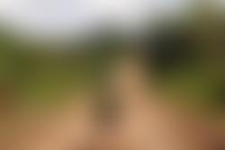 The Quicken Trust | Charici