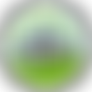 A Place To Call Our Own Limited | Charici