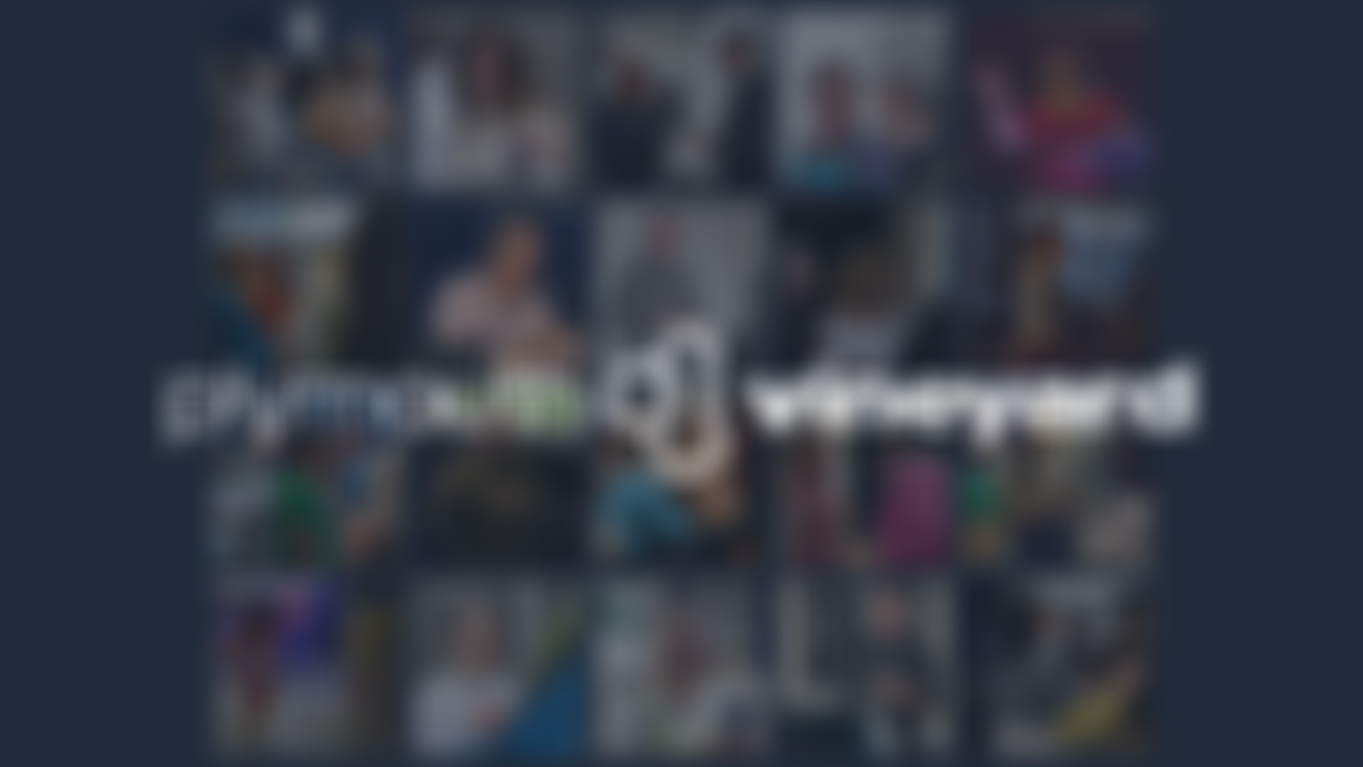 Plymouth Vineyard | Charici