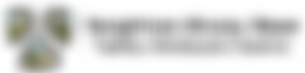 Beighton Bizzy Bee Playgroups Limited | Charici