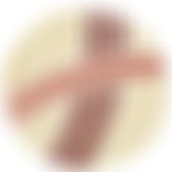 The Micah Network | Charici