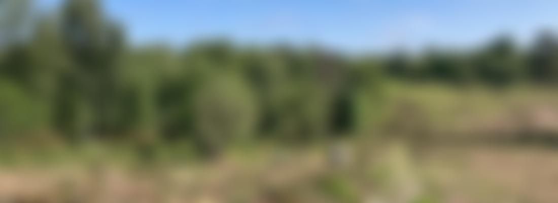 The Lynchmere Society | Charici