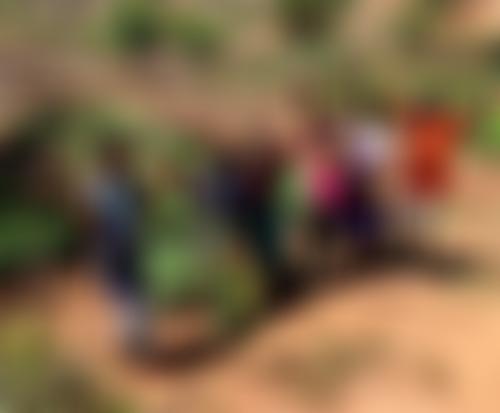 Ripple Africa | Charici