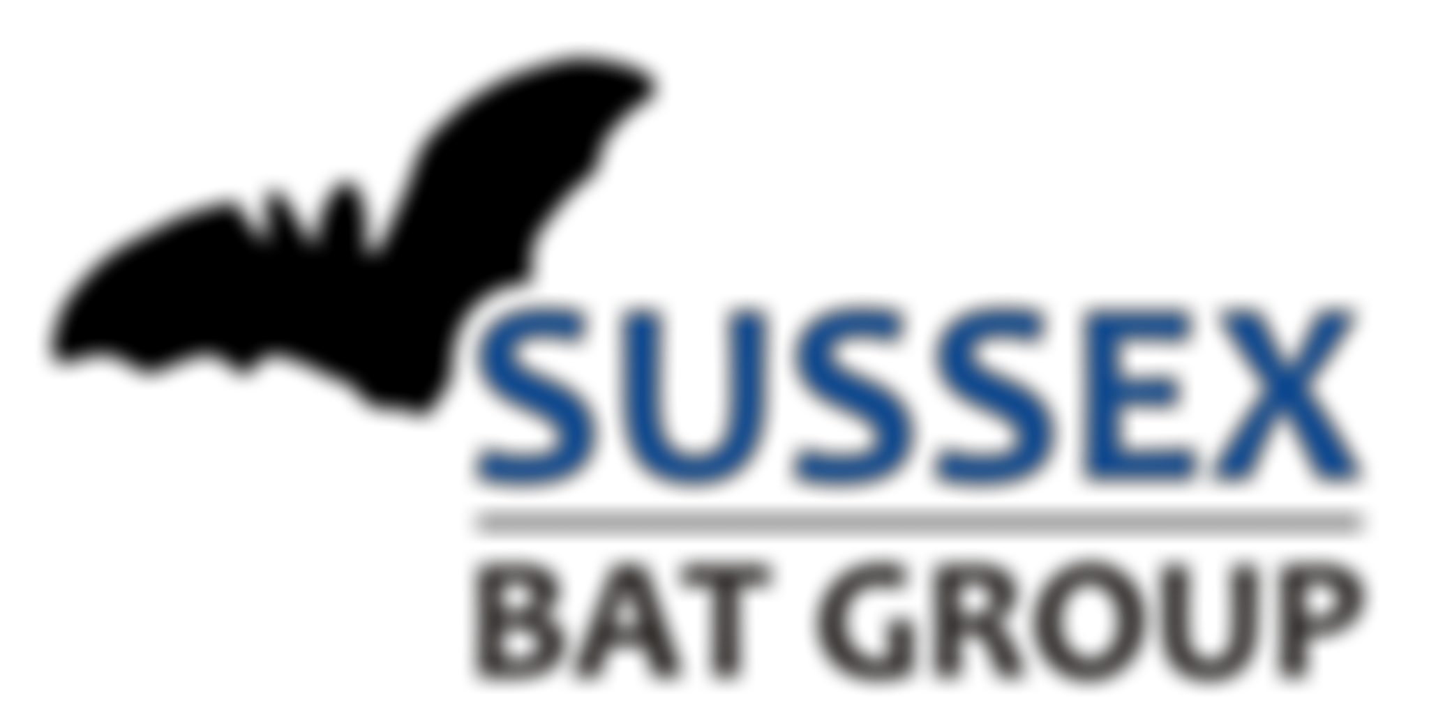 The Sussex Bat Group | Charici