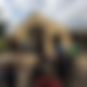 Bibbys Farm Limited | Charici