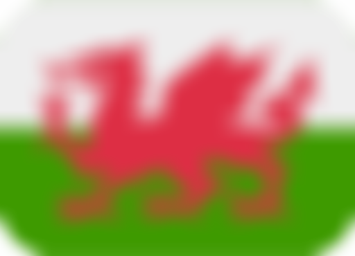 The Tredegar House Folk Festival Society | Charici