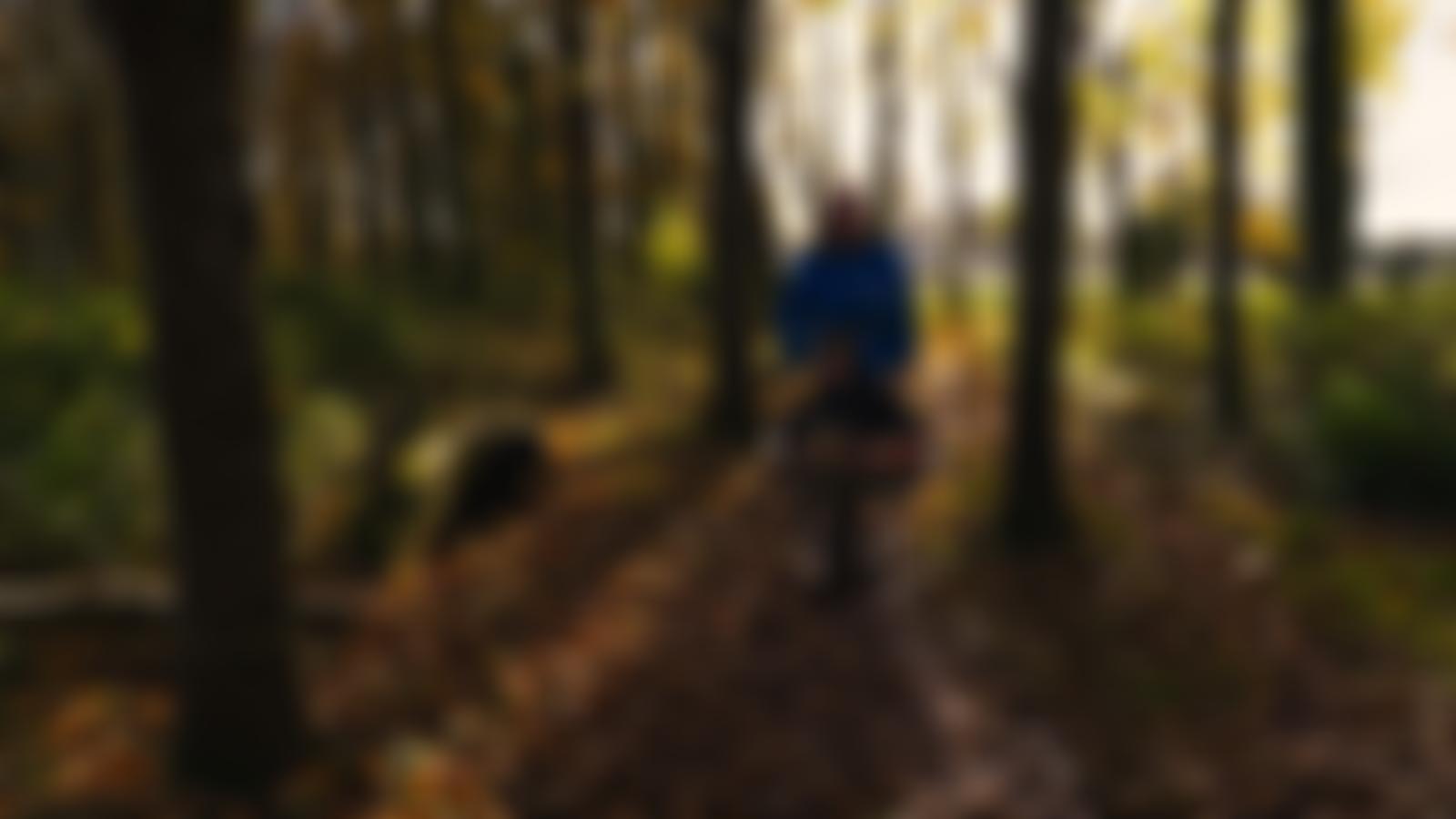 Conquest Centre Limited | Charici