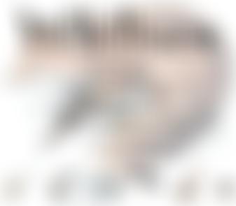 Wildlives Rescue And Rehabilitation Centre East Anglia | Charici