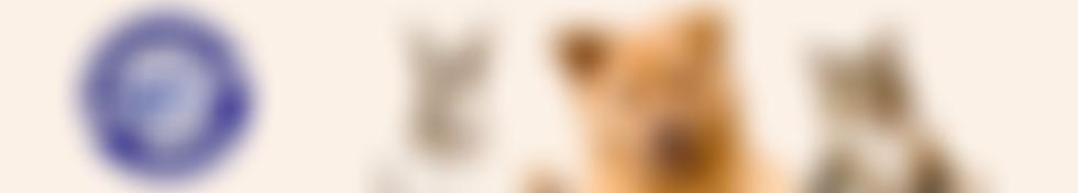 Veterinary Assist Charitable Trust | Charici